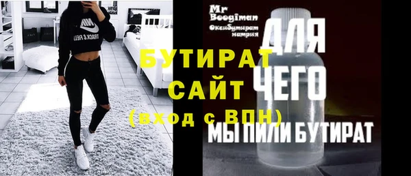 гидра Ельня