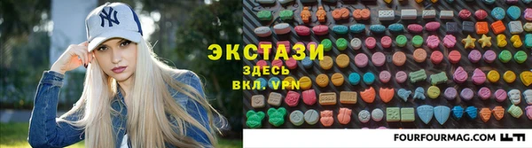 гидра Ельня