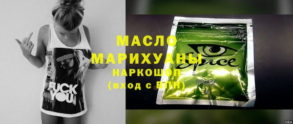 гидра Ельня