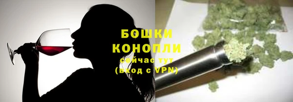 мет Дмитриев