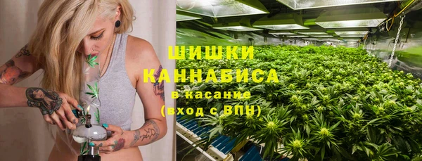 гидра Ельня