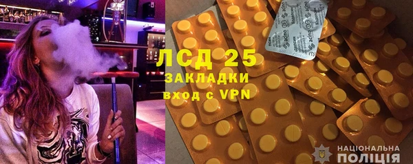 гидра Ельня