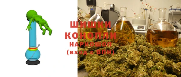 гидра Ельня